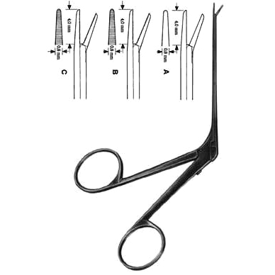 Otology 