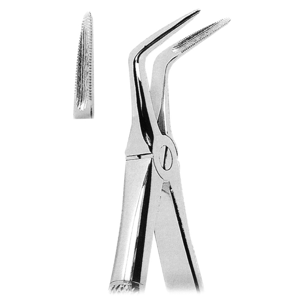 Extracting Forceps Fig 145