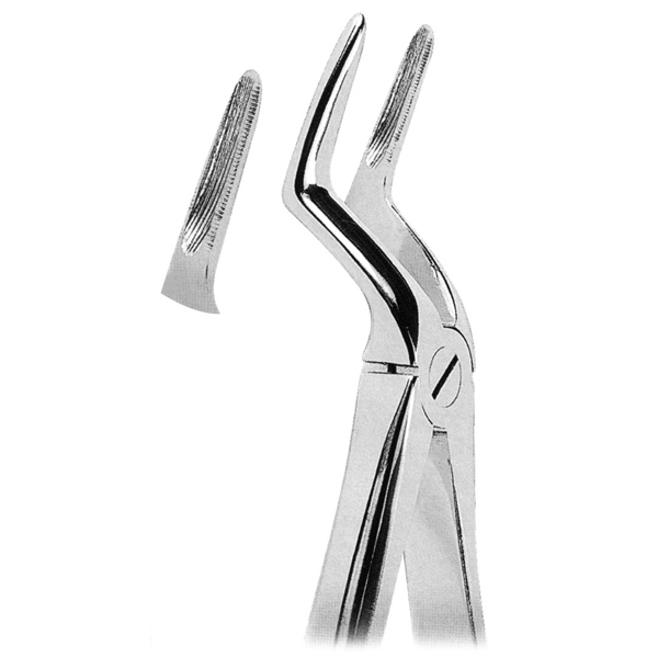 Extracting Forceps Fig. 51L