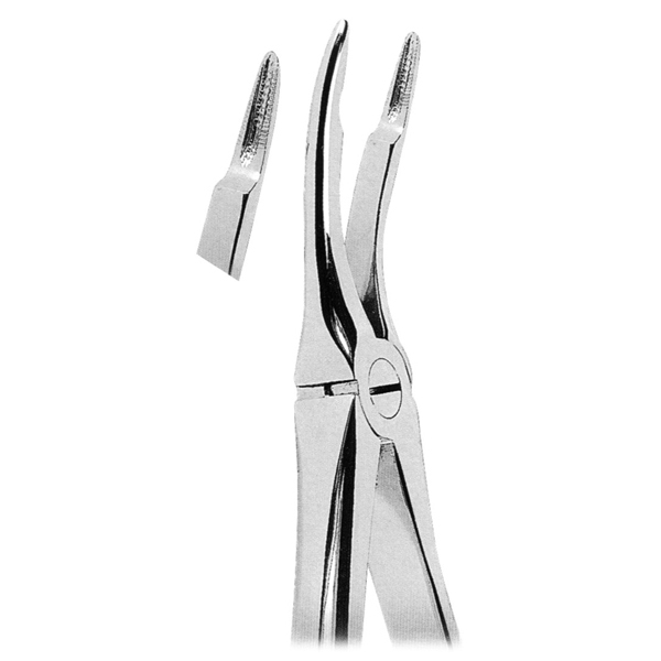 Extracting Forceps Fig. 49