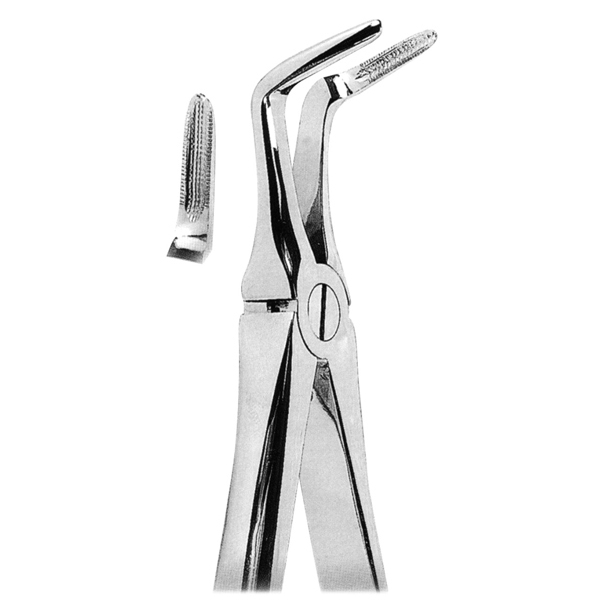 Extracting Forceps Fig. 46L