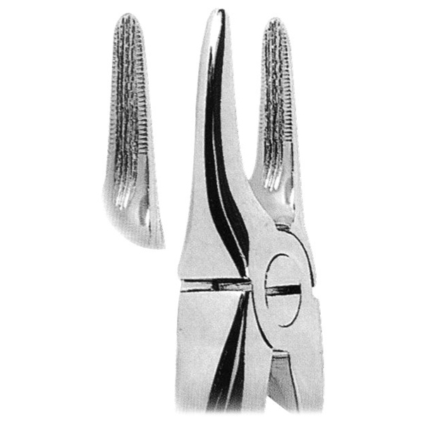 Extracting Forceps Fig. 20N