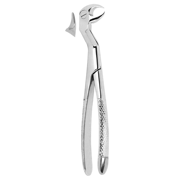 Extracting Forceps Fig. 86 1/2L