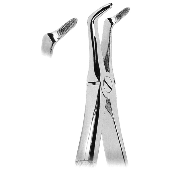 Extracting Forceps Fig. 346