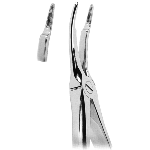 Extracting Forceps Fig. 349