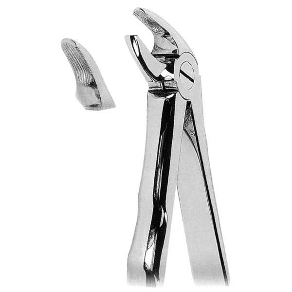 Extracting Forceps Fig. 3