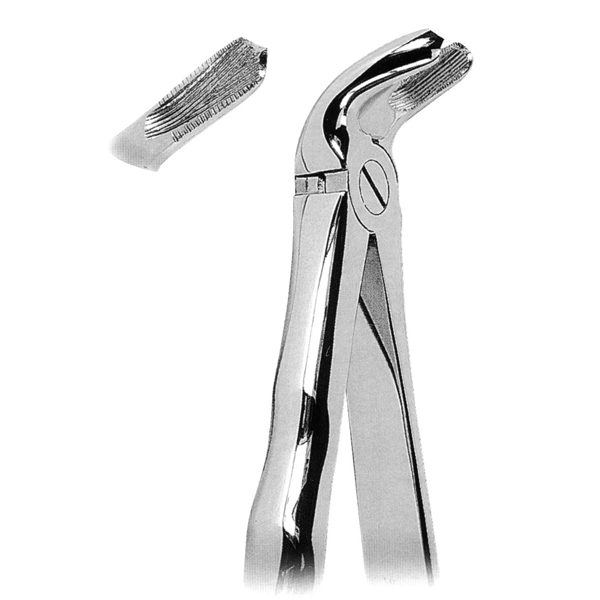 Extracting Forceps Fig. 21