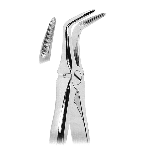 Extracting Forceps Fig. 145